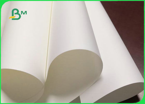 200um PP Single Double Coated Synthetic Paper For Display Inkjet Printable