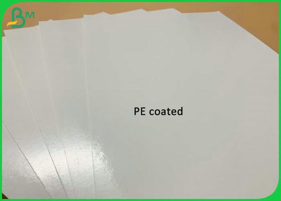 15g PE Coated 300g White Food Grade Paper For Lunch Burger Packing Box