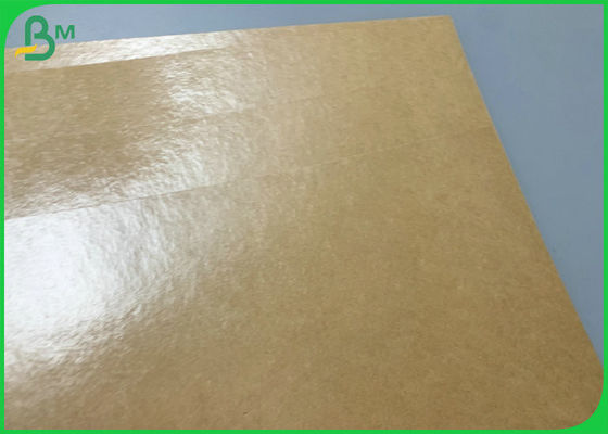 Manufacturer 300gsm Brown Kraft Paper PE Coated For Take Away Lunch Box