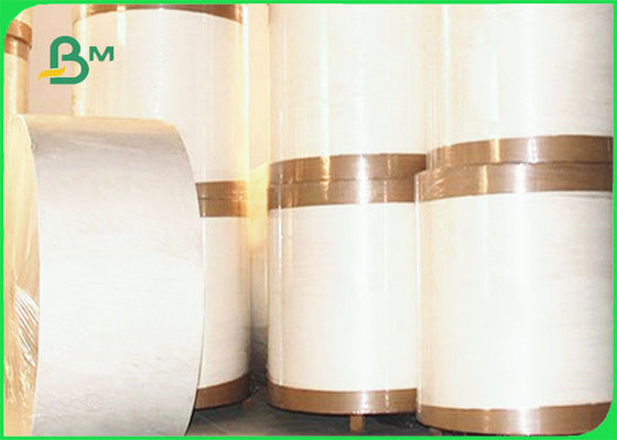 150 - 350gsm Cupstock PE Coated Paper Roll For Drinks Cup Waterproof 720mm