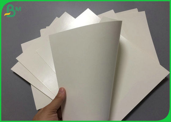 1 Side Waterproof 240gsm + 15gr PE High Whiteness PE Coated Paper For Paper Bowl