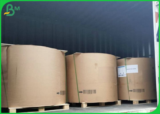 70gsm 80gsm PE Coated Brown Kraft Paper Roll For Nut Packaging Paper Bag