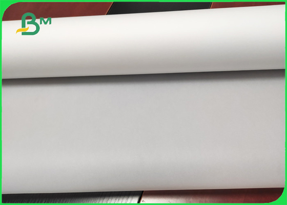 55-285g Sulphate Paper High Transparency Tracing Paper roll