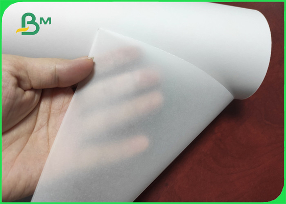 55-285g Sulphate Paper High Transparency Tracing Paper roll