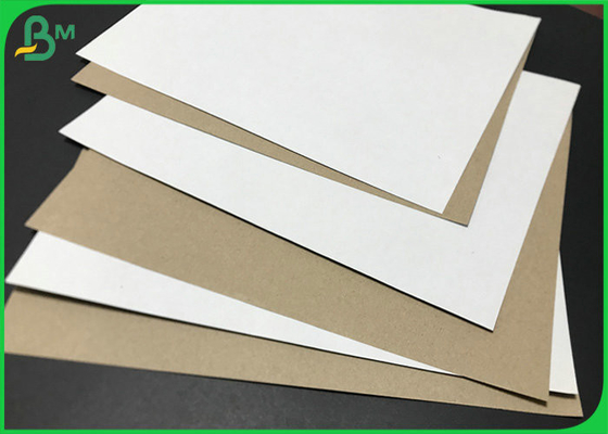 Recyclable 140gsm 170gsm White Clay Coated Kraft Back Board For Paper Cup Holder