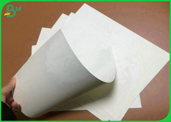 90% 800mm 900mm  Whiteness 190g 210g 250g Food Grade Ivory Board For Food Box