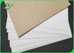 100% compostable Single Side White Coated Food Paper Board 325gsm