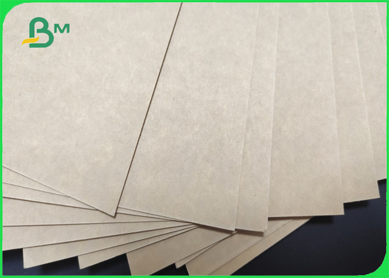 100% compostable Single Side White Coated Food Paper Board 325gsm