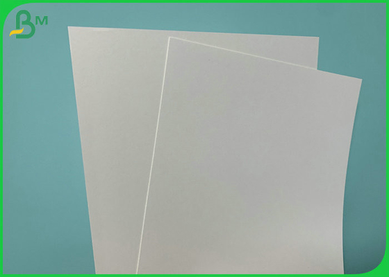 790mm Width 185gsm 235gsm PE Coated Cup Paper For Hot Coffee Cups