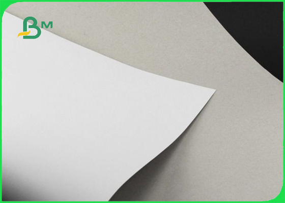 230gsm 250gsm GD2 White Coated Duplex Board Grey Back For Envelope 60 x 75cm