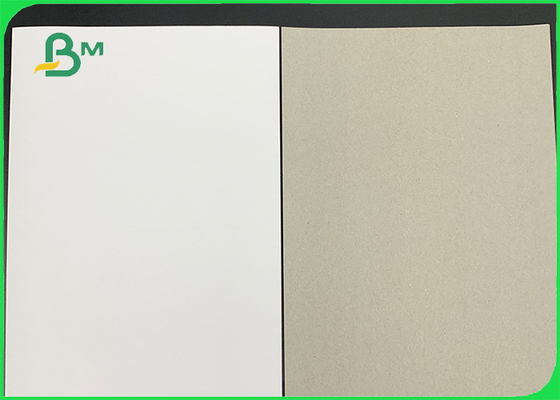 230gsm 250gsm GD2 White Coated Duplex Board Grey Back For Envelope 60 x 75cm