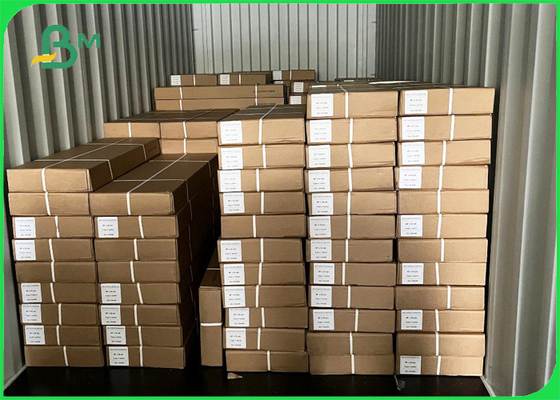 24" X 300' 20# Ink Jet Bond Engineering Plotter Paper Roll 3 Rolls / Box