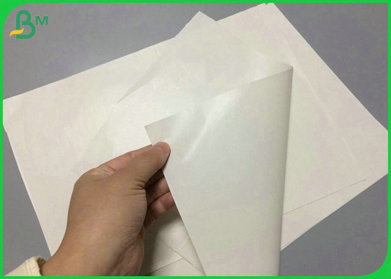 756mm 781mm 2 Side Glossy 50gr Woodfree Paper Roll For Product Manual Printing