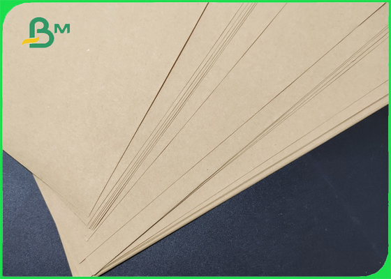 Matte Kraft Paper Coated With PE On One Or Both Sides In Roll