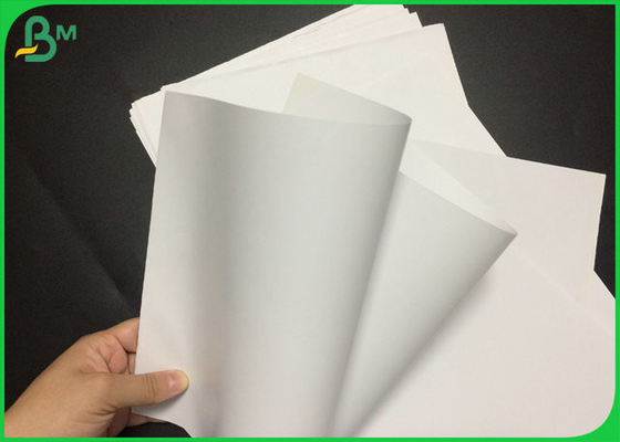 25”x 38”80lb 216gsm White Matt Cover Paper Sheet For Advertising Magazine