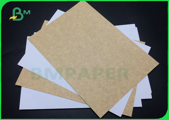 Strong Folding Resistance 325Gr 365Gr Coated Food Grade Kraft Paper For Cake Box