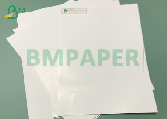 120gsm 200gsm Thick C2S Coated Gloss / Matt art printing Paper 848mm 856mm width