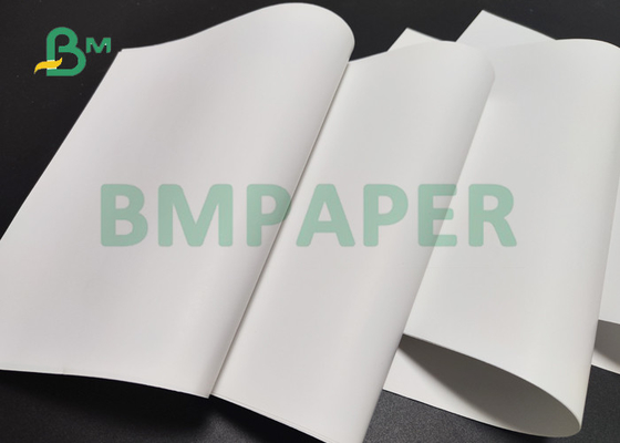 250gr 300gr 2 Side Coated Matt Paper For Menu 70 x 100cm High Smoothness