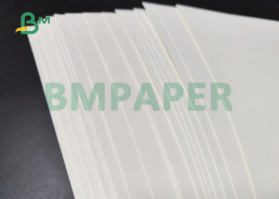 260gsm + 18g PE Coated Cupstock Paper For Hot Drinks 600mm 650mm High Bulk