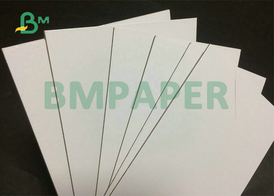 1200gram 1500gram Laminated Duplex Board White Back For Architecture Model