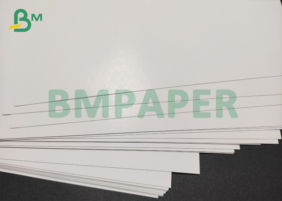 White Cardstock Gloss Cover Paper C2S 10pt Brochures Printing