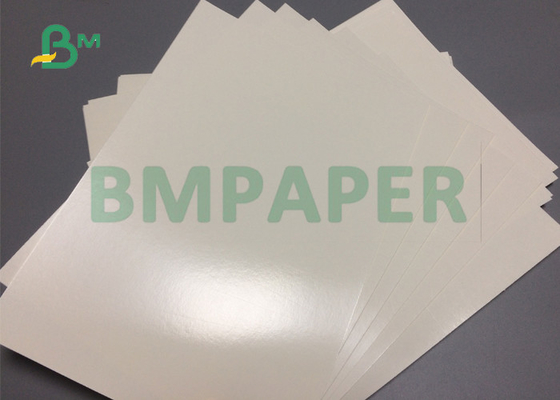 300gsm 350gsm Food Grade 1 Side PE Coated Paper Board  For Disposable Paper Bowl