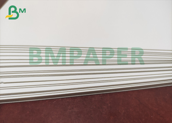 Single Sided Coated Food Cardboard 235gsm 250gsm High Bulk Food Paper