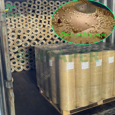 70gsm to 120gsm 24inch 36inch Absorbent Kraft Chick Poultry Paper For Hens Rearing