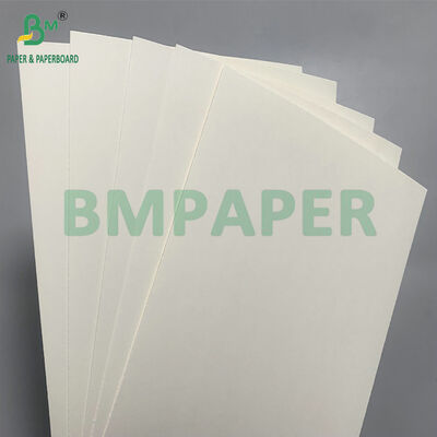 Biodegradable & Microwave Safe Paperboard For Making Disposable Bowls For Salad