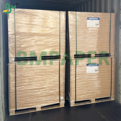 Microwave - Safe Food Paper For Paper Plates, Cups Cut Resistant