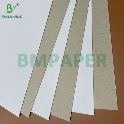 250gsm 300gsm 350gsm 400gsm CCNB Carton Board for Freezer Food Packaging