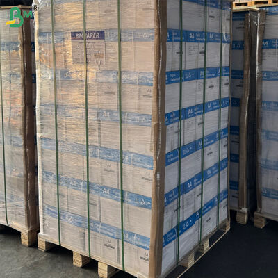 76gr NCR Carbonless Paper For Sales Invoice Black Image 8.5