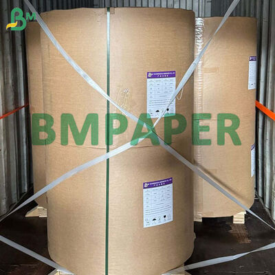80g-300g Biodegradable Sugarcane Bagasse Paper Roll For Making Food Plate