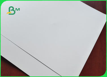200g / 300g / 150g Matt Art Paper With FSC & SGS Certifiate For Printing 60cm